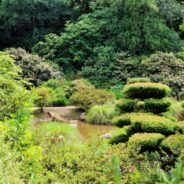Le Parc Botanique de Haute Bretagne – a hidden gem.